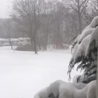 <p>Chris McCarthy captured this snowy day in Fairfield.</p>