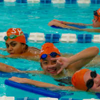 <p>Swimmers at the Stamford Family YMCA.</p>