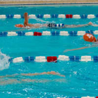 <p>Swimmers at the Stamford Family YMCA.</p>