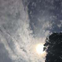 <p>No filter: The sun is obscured by a thin cover of clouds during the eclipse.</p>