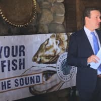 <p>U.S. Sen. Chris Murphy speaks Thursday about Long Island Sound at the Bruce Museum Seaside Center at Greenwich Point Park.</p>