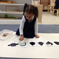 Discover Life-Long Learning At The Montessori School Of Alexandria