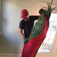 <p>Use the Tree Transporter to carry the tree into the house. It will protect your home from needles, branches and sap.</p>