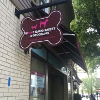 <p>Woof Gang Bakery &amp; Grooming is coming to Rye&#x27;s Purchase Street.</p>