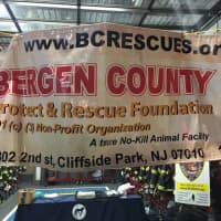 <p>Your sponsors. Go to www.BCRESCUES.org</p>