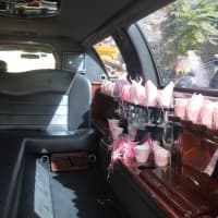 <p>The interior of the limo also has pink detail.</p>