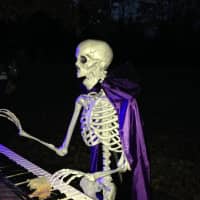 <p>This skeleton plays the organ in the Ackerson&#x27;s backyard.</p>