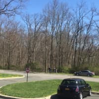 <p>The woods at SUNY Purchase College where a gunman calling himself &quot;Phil&quot; reportedly fled on Sunday night after flashing a handgun at students during an argument at a dormitory block party, witnesses told Daily Voice. No one has been arrested.</p>