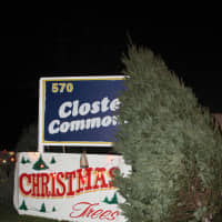 <p>A Christmas Tree seller from Englewood is permitted to keep his shop going at Closter Commons. </p>
