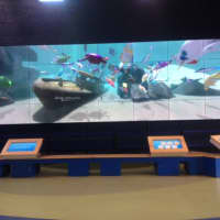 <p>The interactive board at the Maritime Aquarium in South Norwalk shows the sea creatures decorated and named by aquarium visitors.</p>