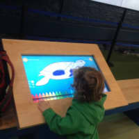 <p>Stashek, 3, of Stratford, colors in a sea turtle for the interactive board at Norwalk&#x27;s Maritime Aquarium.</p>
