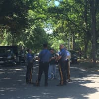 <p>Paramus police gather at the foot of the tree where a bear cub had shimmied up on Wednesday morning.</p>
