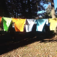 <p>Colored T-shirts decorated by abuse survivors and their supporters hang amid the trees near Trumbull Library as part of The Clothesline Project. The project will be on display until Oct. 21.</p>