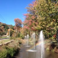 <p>Some of the trees along Route 59 at Silverman&#x27;s Farm in Easton show their changing colors.</p>
