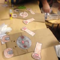 <p>A closer look at two bear paper bag puppets created during the Jumpstart Read for the Record program at Stepping Stones Museum for Children in Norwalk.</p>
