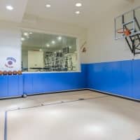 <p>The mansion has an indoor basketball court.</p>