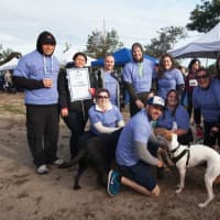 <p>I Hope You Dance team at the CancerCare Fairfield Walk/Run for Hope in 2015. The team will be part of this year&#x27;s event Sept. 11.</p>