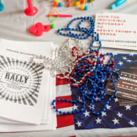 <p>Some of the brochures and documents from Indivisible.</p>