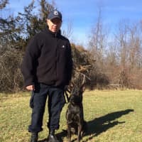 <p>It&#x27;s National Dog Day, and the Clarkstown PD appreciate their canine partners.</p>