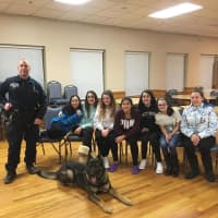 <p>It&#x27;s National Dog Day, and the Clarkstown PD appreciate their canine partners.</p>