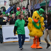 <p>A duck marches in the Tarrytown St. Patrick&#x27;s Day Parade.</p>