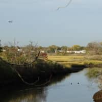 <p>Hook Creek Wildlife Sanctuary is a great place to find birds.</p>