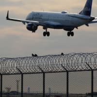 <p>Many birds are unfazed by the heavy plane traffic around John F. Kennedy International Airport.</p>