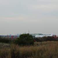 <p>Fields around the airport are great for sparrows and warblers.</p>