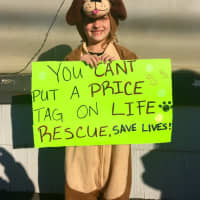 <p>Jarah, a young Emerson resident, has a rescue dog at home. &quot;I want to save the puppies,&quot; she told Daily Voice.</p>