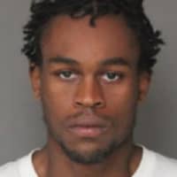 <p>Troy G. Johnson of the Bronx has been charged with grand larceny in connection with a rash of car break-ins in the Beaver Hill section of Greenburgh.</p>