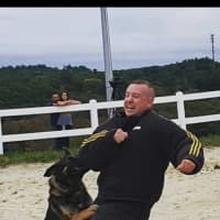 <p>K-9 Murphy showing off his skills with handler Officer John McAulay at the Stephen A. Ketchum K-9 Challenge.</p>