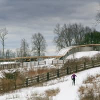 <p>Grace Farms in New Canaan will be hosting its first &quot;Winter Outing&quot; next month. The line-up of things to do during the free day-long event include cross country skiing, ice skating, and lounging by the fire with a cup of hot cocoa.</p>