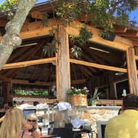 <p>A gazebo above the outdooor deck at Las Mananitas in Brewster is a cozy spot for private parties and baby showers.</p>