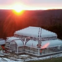 <p>It will be a new dawn for Westchester horticulture when Lasdon Park in Somers opens its long-awaited glass conservatory this summer. Its first exhibit is titled &quot;The Rainforest: Tropical Treasures.&quot;</p>