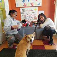 <p>The Learning Garden Day Care teacher Chandra Lowe (L) and Director Raquel MacGregor say hello to Abby.</p>