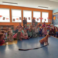<p>Kids from The Learning Garden Day Care in Yorktown got a visit from Putnam Humane Society and Abby.</p>