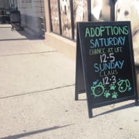 <p>In addition, the store is accepting donations for local rescue organizations in Closter and River Edge.</p>