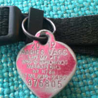 <p>This tag belongs to a little doggie found wandering around Thursday south Yonkers. If you recognize it, please call the Yonkers Animal Shelter.</p>