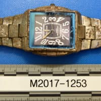 <p>A watch and ring were among the skeletonized remains found in Yonkers.</p>