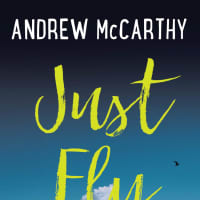 <p>&quot;Just Fly Away&quot; is about a family with secrets. It is written by Actor/Director Andrew McCarthy.</p>