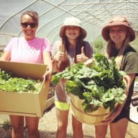 <p>Millbrook students display some of the produce they grew on their school&#x27;s farm. Vegetables and leafy greens were donated to a food pantry in Amenia.</p>