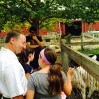 <p>Westchester County Executive Robert P. Astorino shows off some of Muscoot’s new arrivals. </p>