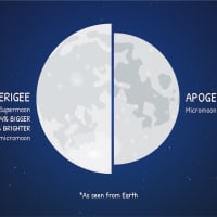 <p>A comparison of a supermoon, left, and a micromoon, right.</p>