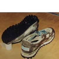 <p>A pair of tennis shoes is one of the only clues police have</p>