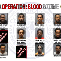 <p>A dozen gang members were busted as part of Operation Blood Stone.</p>