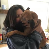 <p>Lisa Smith, founder of A Good Dog Rescue, with Olaf, whom she adopted a year ago.</p>