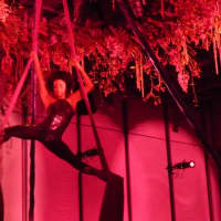 <p>An arial performer entertains in the Cirque room at the HackensackUMC Foundation 2015 Donor Recognition Gala. </p>