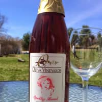 <p>Wine, spirits and hard ciders made in the region will be available to sip at The Hudson Valley Wine &amp; Chocolate Festival in Patterson on Saturday, April 1 to Sunday, April 2.</p>
