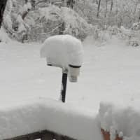 <p>Snowfall in Plainville, Connecticut on Tuesday, Feb. 13, where 13.5 inches of accumulation was measured.</p>