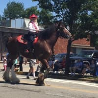 <p>Hollywood stunt woman Diane Peterson rode a horse during the parade</p>